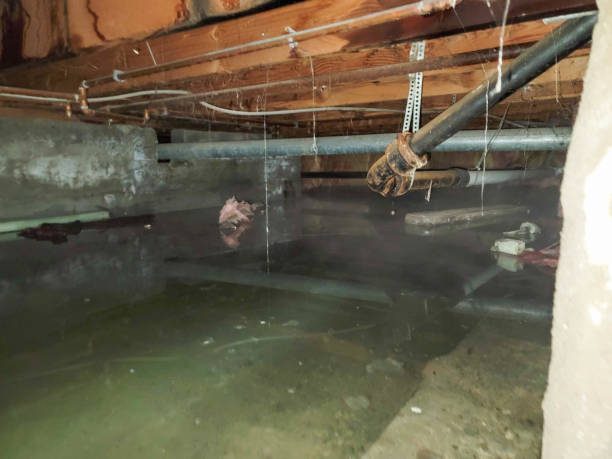  Hoer, OK Water damage restoration Pros