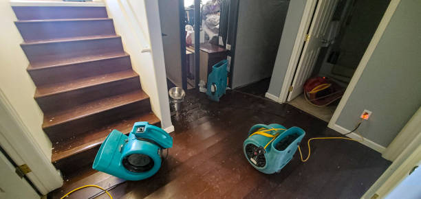 Best Flood restoration services  in Hoer, OK