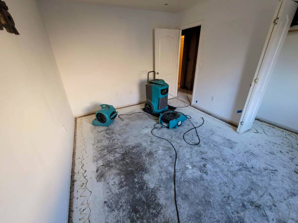 Best Water damage restoration near me  in Hoer, OK