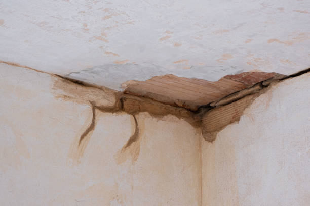Best Sewage cleanup and water damage restoration  in Hoer, OK