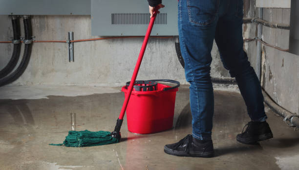 Best 24-hour water damage restoration  in Hoer, OK