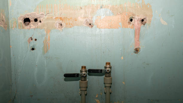 Best 24/7 water damage repair  in Hoer, OK
